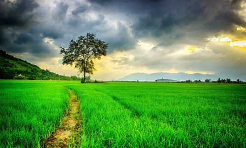 2型糖尿病的症状-2型糖尿病症状的早期表现-专业2型糖尿病的典型症状平台-2型糖尿病有什么症状和表现